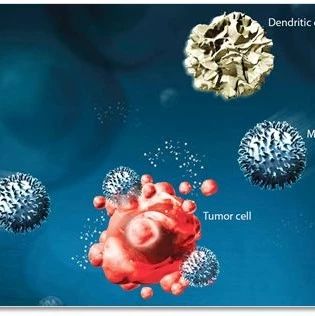 《Nature》重磅宣布:超级CAR-T细胞让肿瘤完全消失