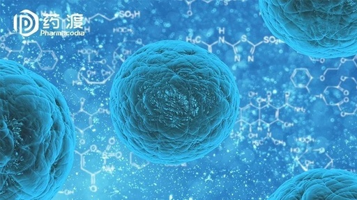 RNA干扰在肿瘤免疫治疗中扮演什么样的角色?