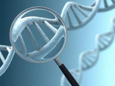 基因测序技术有望进入辅助生育医疗领域