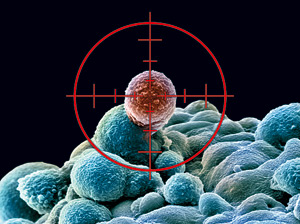 癌症研究泰斗Nature子刊解析癌症干细胞与微环境的互作