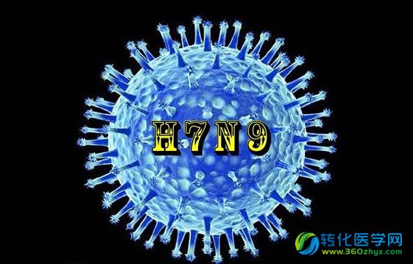 H7N9病毒靠基因利器“攻陷”人类