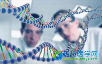 基因测序描绘个体化医疗产业图谱