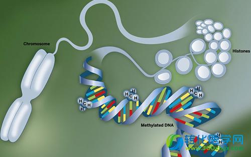 Nature Cell Biology：高通量单细胞技术获得新突破