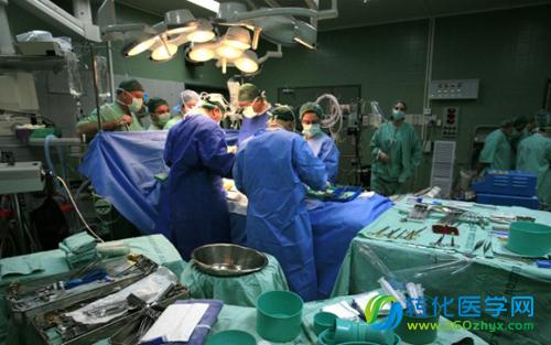 以色列研究人员实现心脏细胞再生长 取得医学重大突破