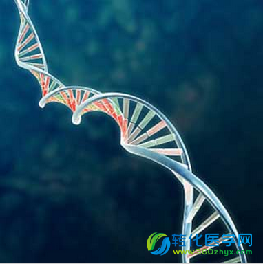 Nature子刊：外显子测序确定两个与家族性肺纤维化相关的基因