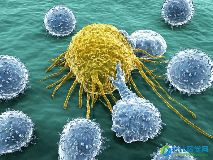 Genome Biology：23个癌症类型 10000+个肿瘤样本综合分析  指导肿瘤免疫疗法