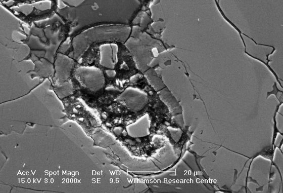 火星陨石内发现疑似细胞结构：或为地质成因