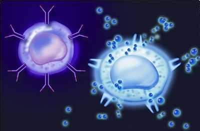 细胞因子在免疫细胞治疗中的应用