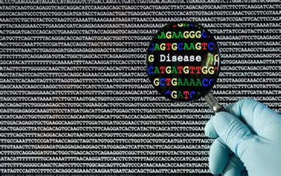 强强联合：在CRISPR/Cas9相关研究中应用新一代测序技术