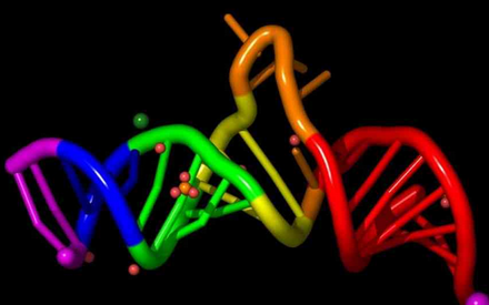 PNAS：新研究扩大了人类microRNA的数量