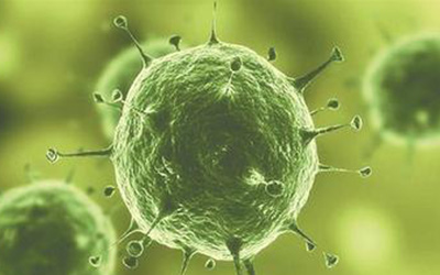 埃博拉刺激日本创建首个生物安全4级实验室