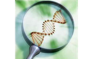 辟谣 | 钟南山：所有基因检测都不成熟？我从未说过！