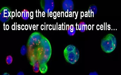 在异倍体循环肿瘤细胞(CTC)中原位检测肿瘤标示物蛋白表达的特殊意义