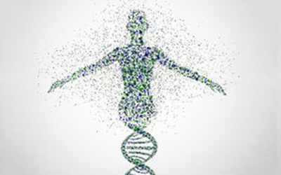 安诺基因Hi-C再获进展，联合研究成果登《Genome Biology》