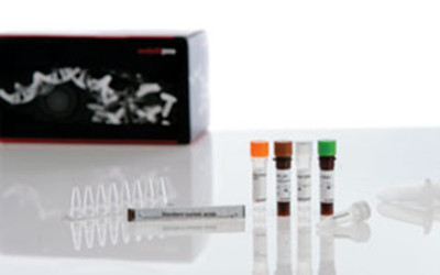 全球首个获得批准的丁肝病毒检测试剂盒已上市