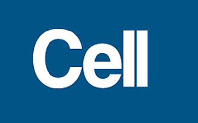Cell盘点2015最佳论文，中科院成果、细胞重编程、CRISPR入选