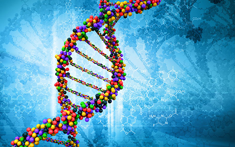 单分子测序：基因测序不再遥不可及