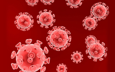 科学家发现潜伏HIV的“藏身处”