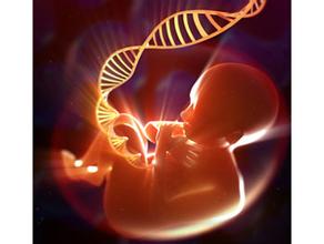 Nature遗传学：生孩子由DNA决定？