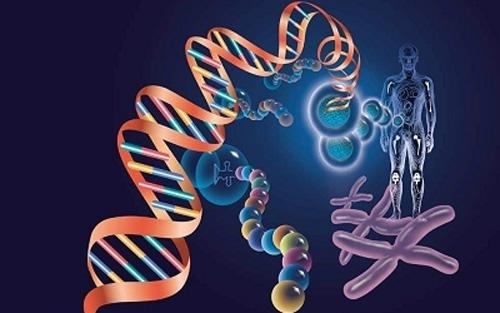 全基因组扩增实现97%覆盖率，遗传病基因变异检测更灵敏