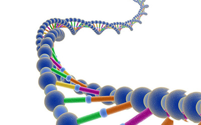 人类首次拍摄DNA复制！美科学家：人类理论完全瞎编，中学课本错误百出！