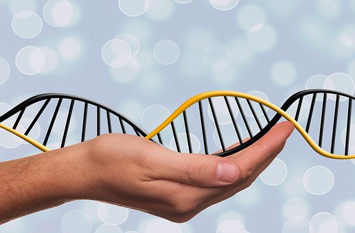 高光坪教授《Nature》子刊提出CRISPR无疤基因编辑:再次证明可以纠正遗传病中的DNA突变!