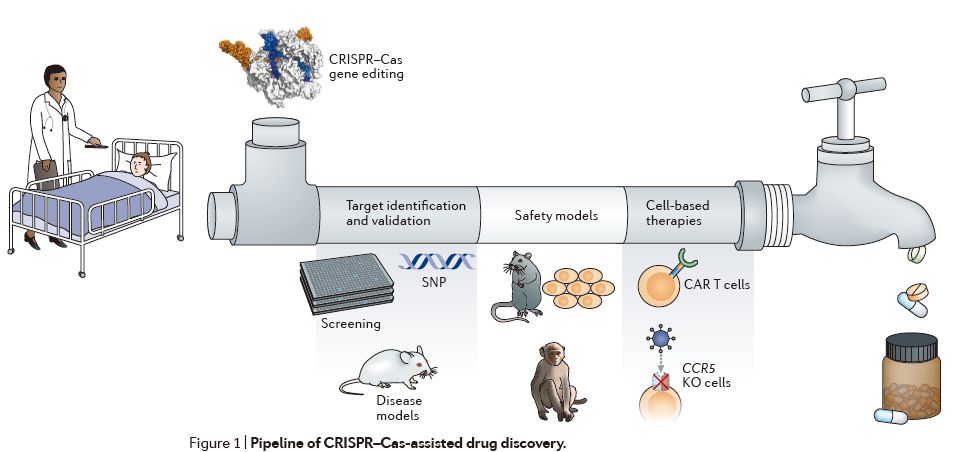 最新专利分析:经CRISPR技术改良的通用CAR-T细胞疗法