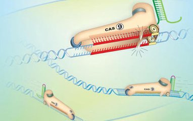 Science | CRISPR超级大牛Doudna首次发现Cas12a的抑制蛋白