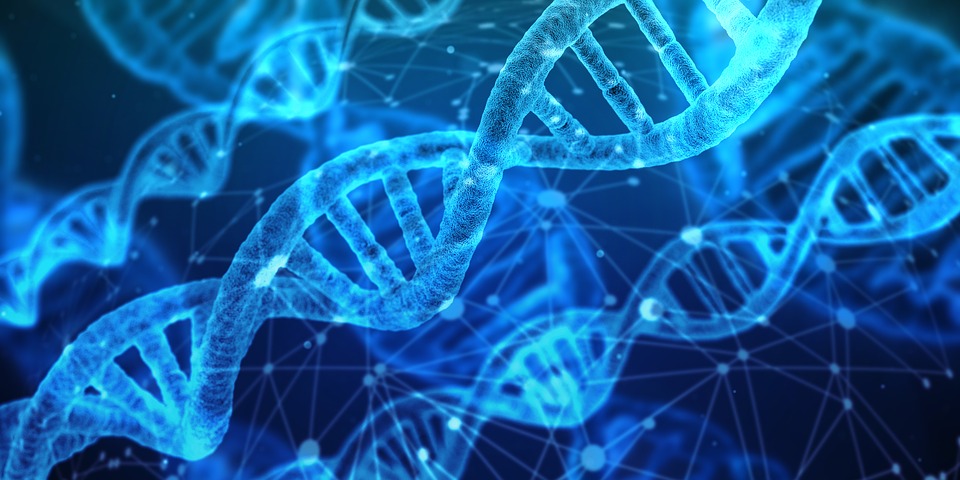 Nature：CRISPR编辑技术存在致癌风险，全球首例基因编辑婴儿的未来谁来负责？