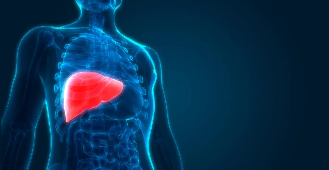 【Nature子刊】癌细胞扩散到肝脏会更糟糕，邹伟平团队揭示背后原因，并提出治疗手段