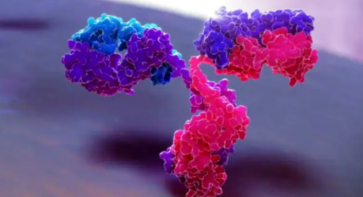 【NEJM】T细胞的又一胜利果实，淋巴瘤中的双特异性抗体！