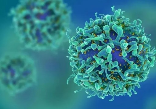 最新策略！华中科技大学联合复旦大学：揭秘肿瘤免疫逃避机制 增强抗PD-1疗效