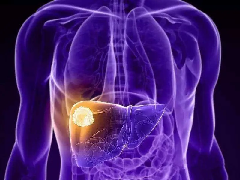 时间生物学视角！中国药科大学揭示肝细胞癌发病机制和干预策略