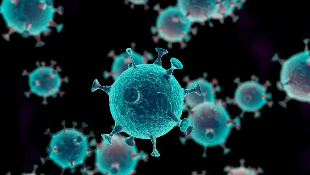 【Adv. Sci.】华中科技大学发现肝细胞癌最新靶向治疗策略