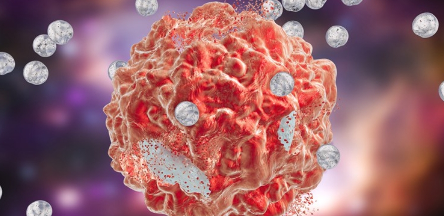 新型肿瘤“瘦身”途径！华中科技大学章小平团队揭示肿瘤细胞生长和转移抑制新机制