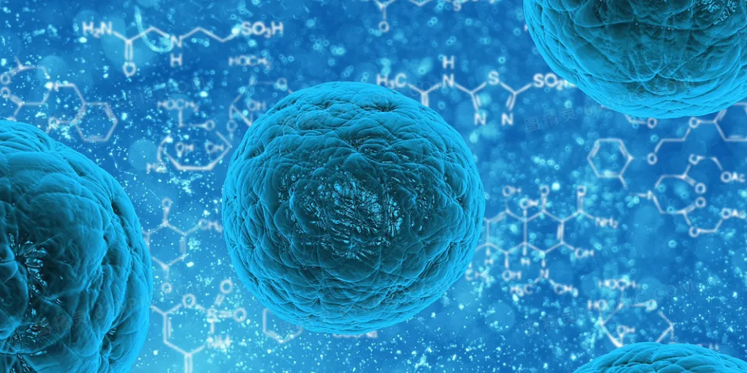 新型调控信号轴！浙大医学院揭示胶质母细胞瘤进展机制和治疗策略