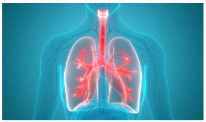 新思路！华中科技大学发文：揭示克服肺癌辐射抵抗新机制