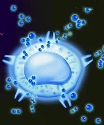【Cell】浙江大学最新研究：益生菌靶向 T 细胞增强免疫检查点阻断疗效