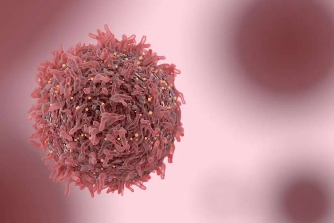 新发现！中山大学庞俊团队揭示肾细胞癌发病机制和潜在治疗靶点