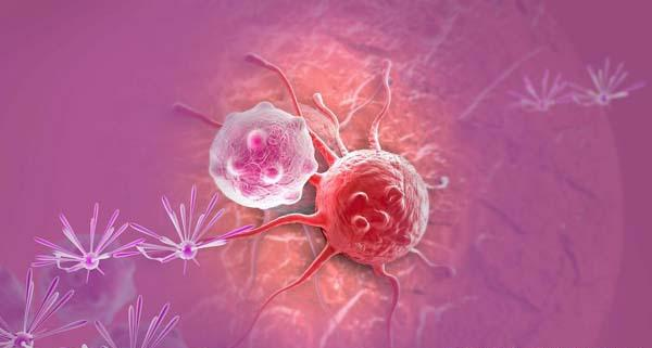 新证据！中国医科大学揭示克服三阴性乳腺癌治疗耐药性最新靶点