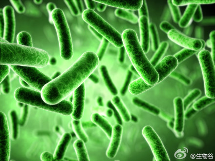 抗生素研发出现重大转折？奥巴马政府拟向超级菌宣战！