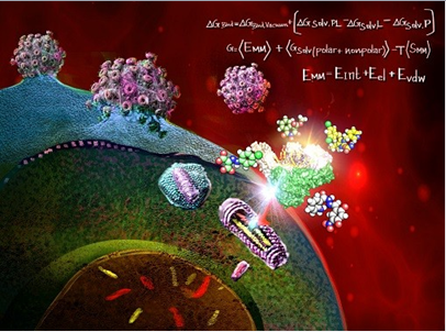 Integr Biol：科学家开发出可高效筛选抗HIV化合物的新技术