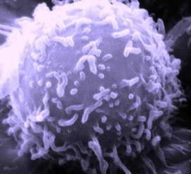 血液中的癌细胞指纹会更快检测出儿童癌症