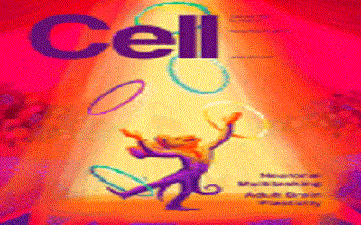 Cell：击败最诱人的癌蛋白