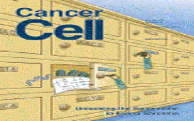 Cancer cell：肿瘤的细胞起源