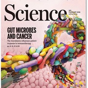 3篇《Science》顶尖期刊聚焦肠道微生物对肿瘤免疫治疗的关键影响!