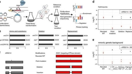 利用CRISPR-CAS9在酵母中构建和分析DNA序列变异文库