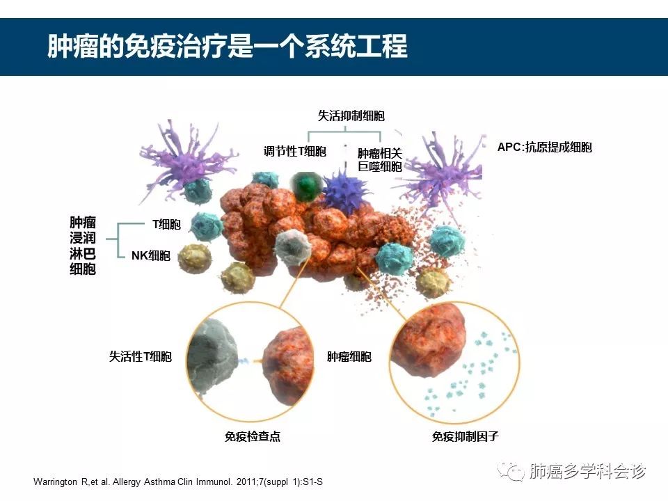 免疫治疗在IDC患者治疗中的疗效与安全性评估(免疫治疗在化疗之前做还是之后做)