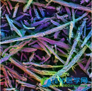 Nature子刊：新型3D疫苗可自组装并有效抗癌