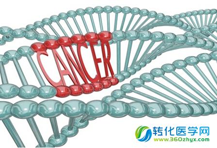 【ctDNA】癌症“指纹”系列之血液中散落的信息密码